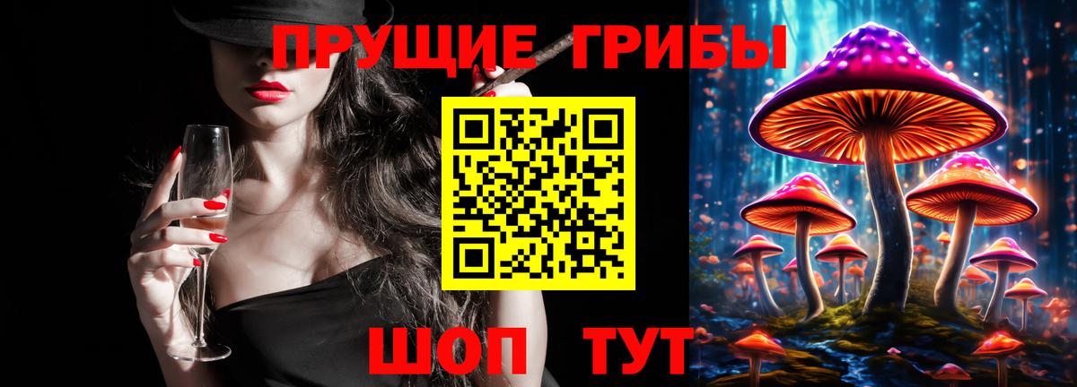 Валуйки  Галлюциногенные грибы Cubensis  Вход с VPN  Галлюциногенные грибы GOLDEN TEACHER 